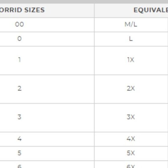 NEW!!! TORRID Super Soft Crew Neck Varsity Tee - SIZE 2x - Picture 5 of 6